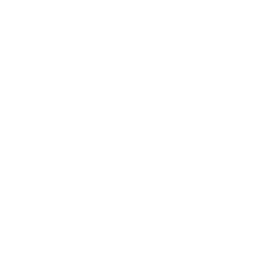 icon-white-data-protection