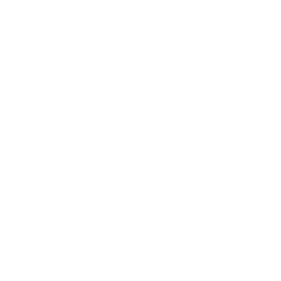 icon-white-encryption
