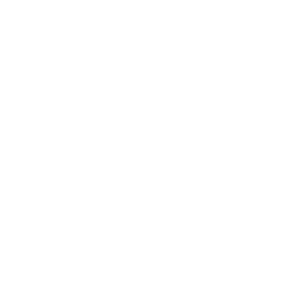 icon-white-spellcheck