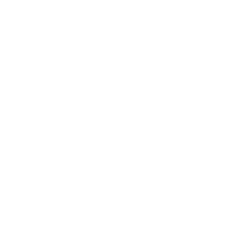 icon-white-translation-memory