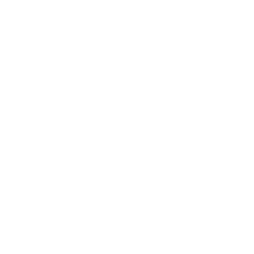 icon-white-translation-memory