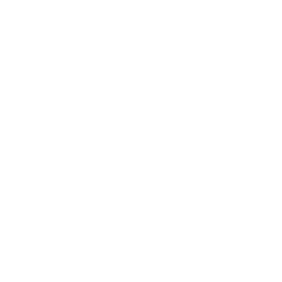 icon-white-world